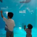 https://p0.meituan.net/userheadpicbackend/cbe7e9864bcc026b64e5844dde56ffaa625789.jpg%40120w_120h_1e_1c_1l%7Cwatermark%3D0