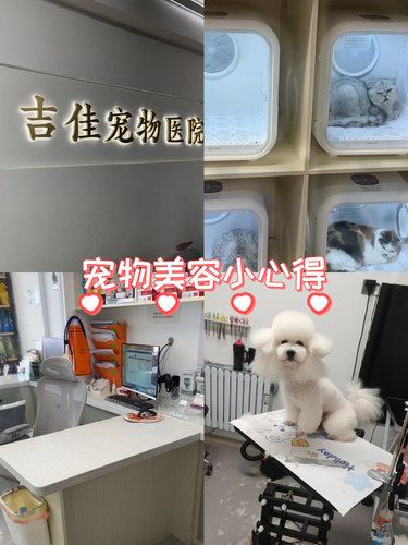 宠物们的健康守护者