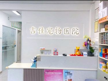 健康先行～猫咪护理