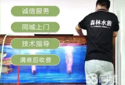 森森水族到家·提供上门鱼缸清理，维修鱼缸、清洗鱼池，鱼缸搬运、海水缸维修清洗