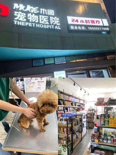 医术超赞 医心更美~