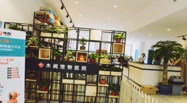 带着毛孩子体检的一天