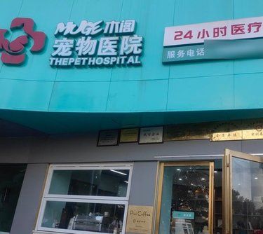 宠物们的健康守护者