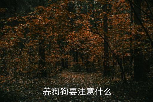  养狗狗要注意什么