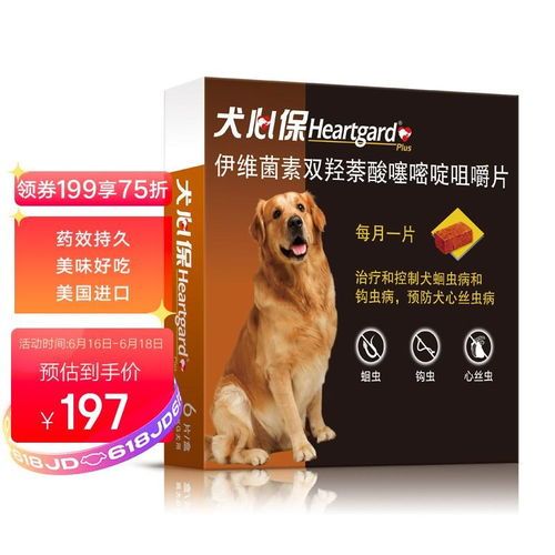 宠物狗狗蛔虫预防与识别