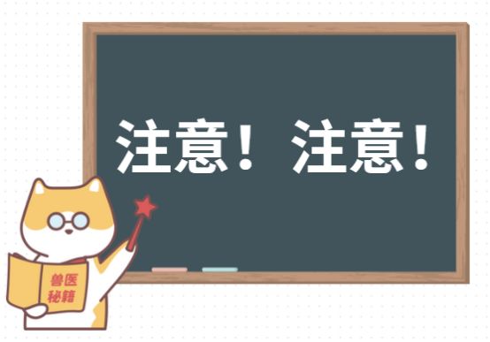 狗狗便便里有白色的虫子吃什么药？