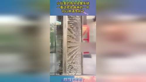 小伙家的雨水收集系统，一看这密密麻麻的一片，可以申请专利了