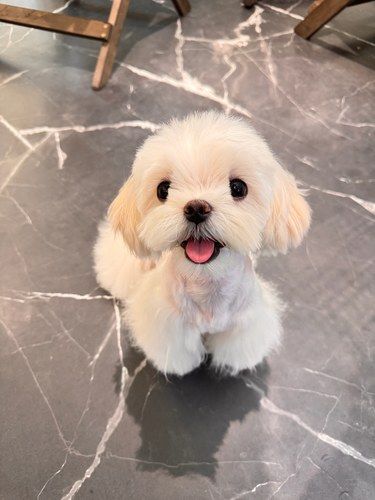 you家终于开到家边上啦！
