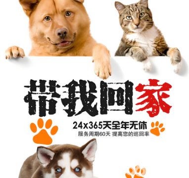 特种兵寻宠团队·寻找宠物寻猫团队宠物搜救寻宠找小猫宠物侦探宠物救援猫，24小时上门搜救