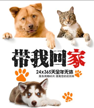 店主头像