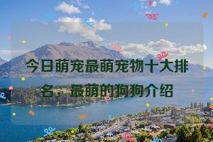 今日萌宠最萌宠物十大排名，最萌的狗狗介绍