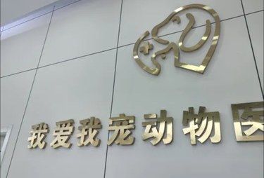 医术超赞 医心更美~