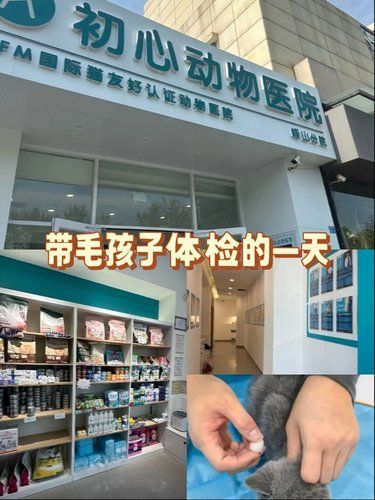 带毛孩子体检的一天