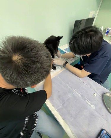 带着毛孩子体检的一天