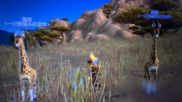 《魔兽世界》长颈鹿宠物位置