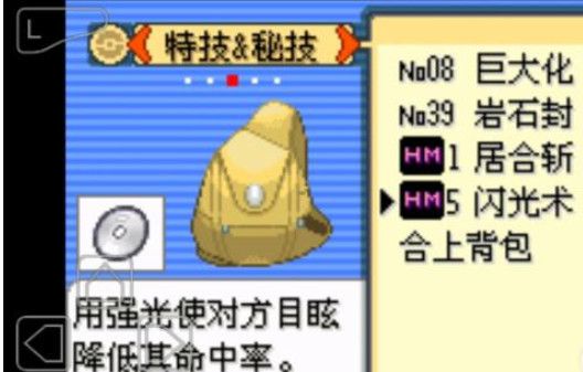 漆黑魅影闪光术哪个宠物能学 宝可梦漆黑的魅影中哪些宠物能学闪光术
