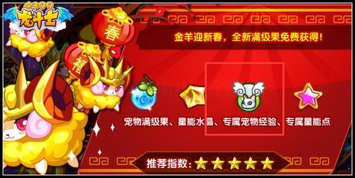 龙斗士宠物快速升级攻略
