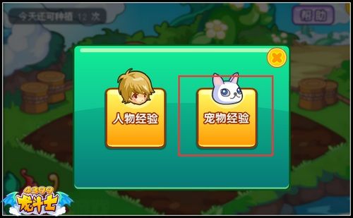 龙斗士宠物快速升级攻略