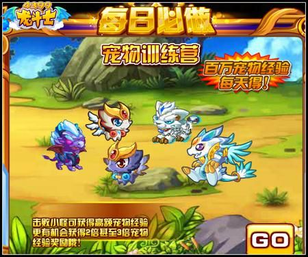 龙斗士宠物快速升级攻略