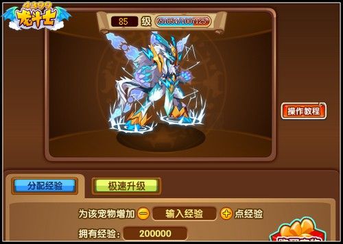龙斗士宠物快速升级攻略
