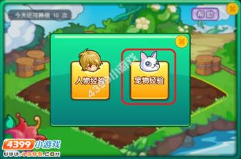 龙斗士宠物经验怎么得