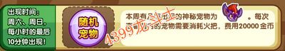 龙斗士捕捉蝙蝠王