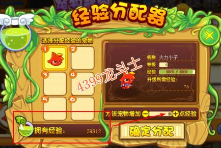 龙斗士宠物快速升级攻略