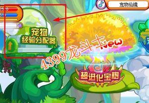龙斗士战宠快速升级攻略 