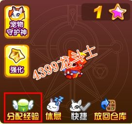 龙斗士战宠快速升级攻略