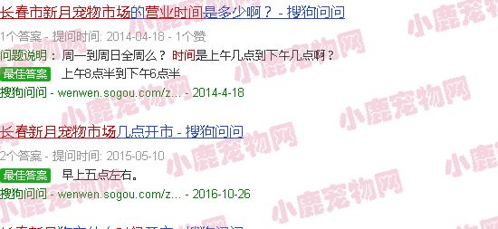 长春新月宠物市场营业时间