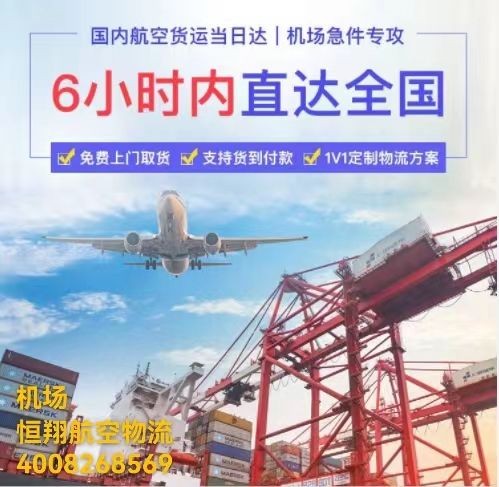 温州本地宠物猫狗托运公司 上门接送 安排当地机场空运