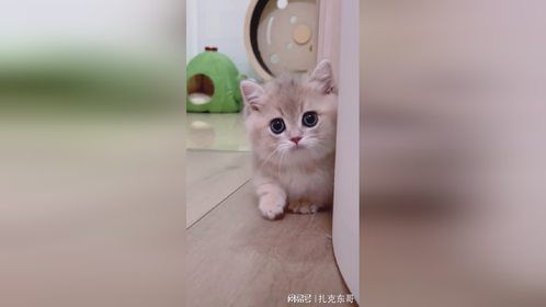 我就这样偷偷的看着你！