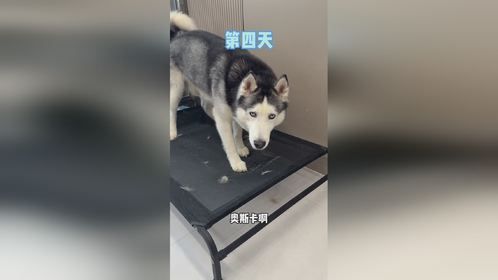 只要坚持，就没有做不成的事