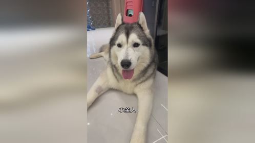 不想把你变小，变大行吗？