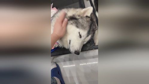 小金人走了，世界上再也没有那个爱笑的小金人了
