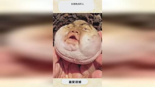 长得有点吓人