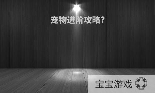 宠物进阶攻略?