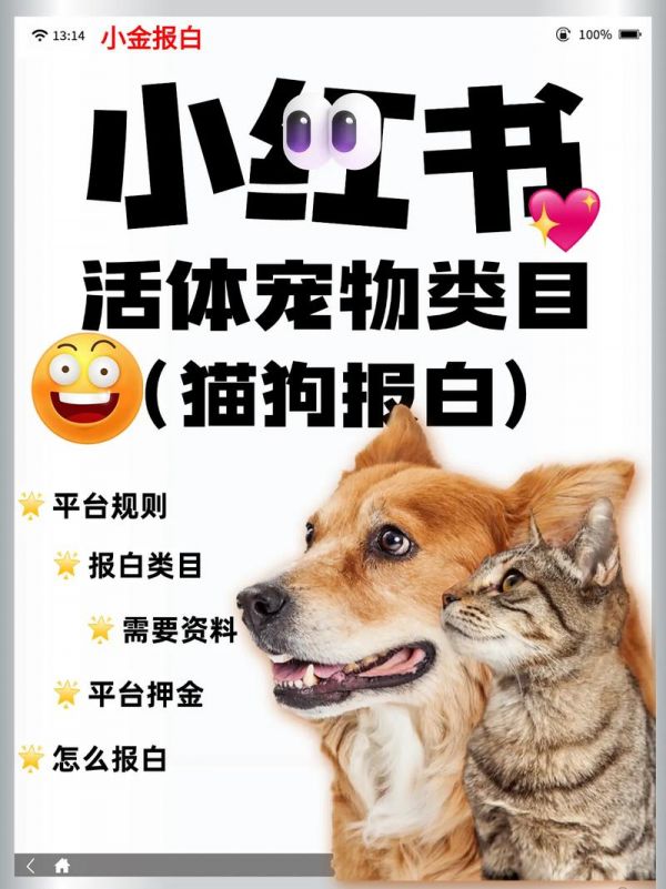小红书怎么做宠物爆文