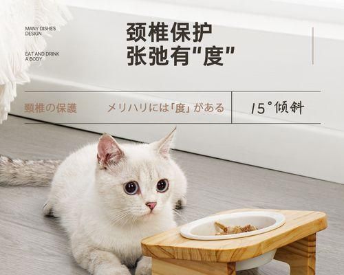 猫咪埋猫粮，好不好（以宠物为主）