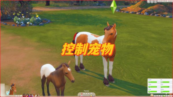 控制宠物｜Selectable Pets Always