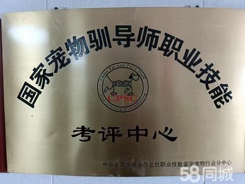 宠物训导师培训·宠物驯导招学员培训⭐上门训犬⭐训犬师⭐导盲犬军犬搜救犬⭐自然训犬