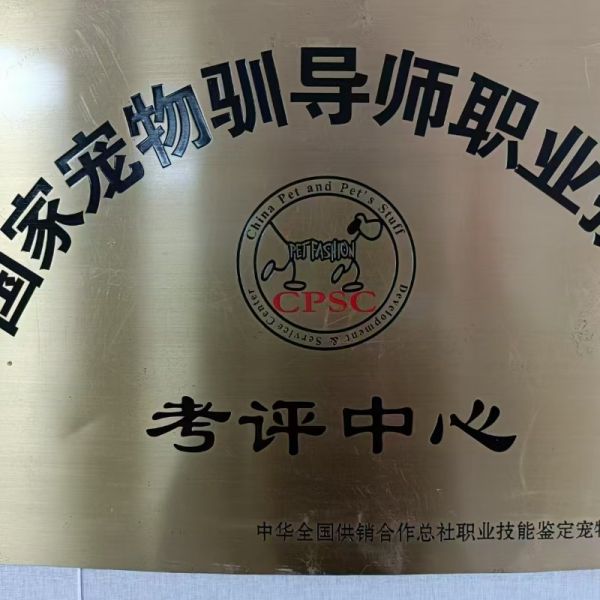 店主头像
