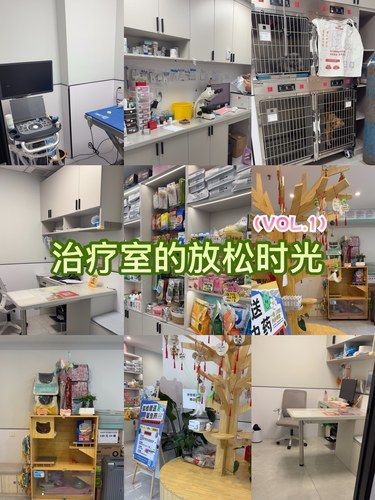 一家很好的宠物医院