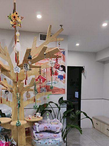 健康先行～猫咪护理