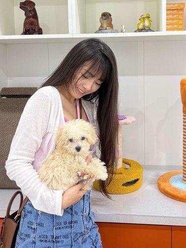 幼犬扎疫苗全攻略！一定要去靠谱的地方！
