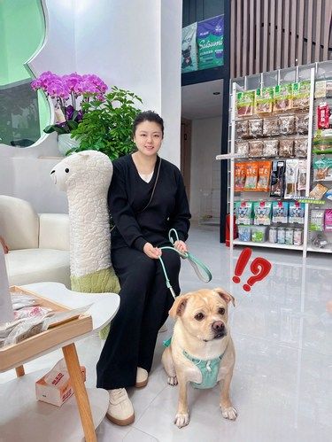 沈阳养宠人新晋宝藏店| 胖墩墩萌宠| 