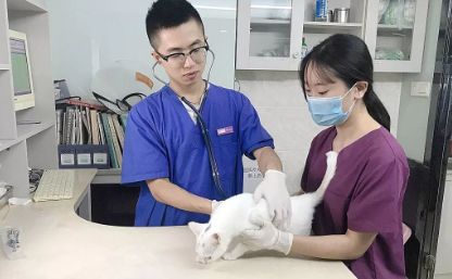 值得信赖的宠物医院——尊宠宠物医院