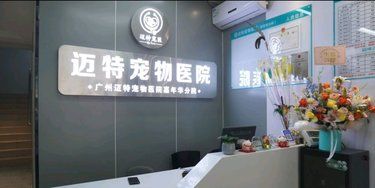 医术超赞 医心更美~