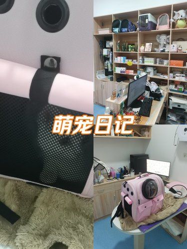 医术超赞 医心更美~