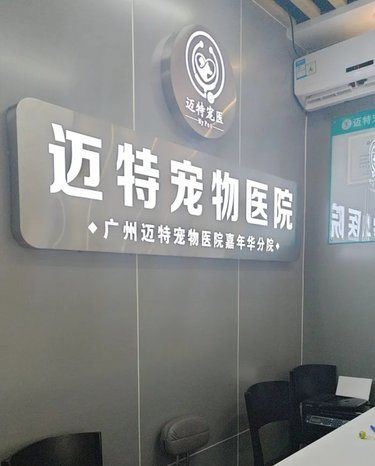 宠物健康的守护者